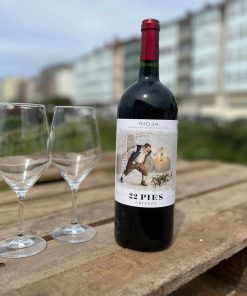 Vino Rioja «22 Pies» Crianza 75cl